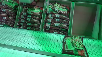 58085 BluePrint Automation Spider 100v Case Packer