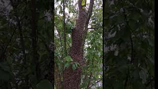 VID 20200601 112353