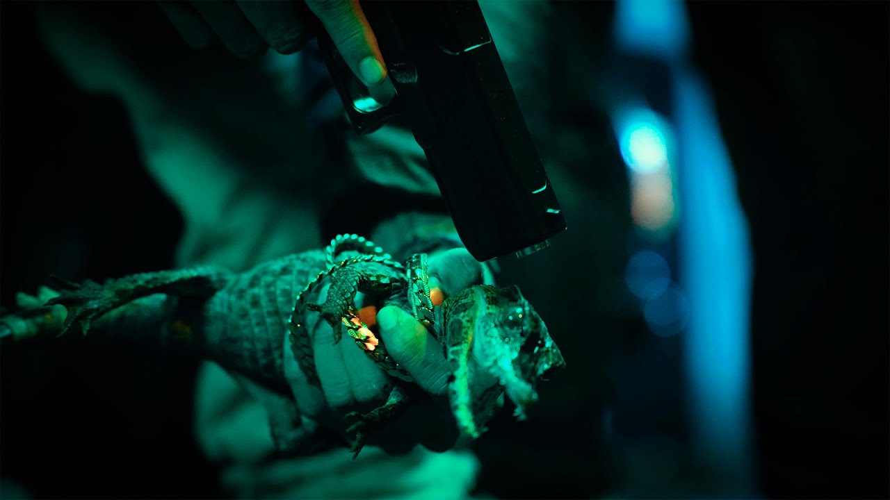 Watch LACO$T€ 🐊❌ | @daniel.leytor $ @heyvigoo $ @prodtheenigma on YouTube Watch LACO$T€ 🐊❌ | @daniel.leytor $ @heyvigoo $ @prodtheenigma on YouTube