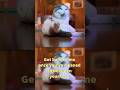 Who better to guide us with wise words on how to live a fabulous life? It’s a full Meemers’ video!