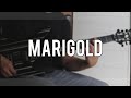 Marigold - Periphery | Guitar Cover