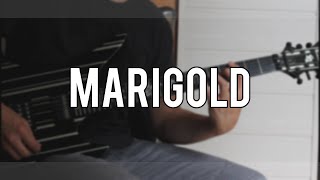 Marigold - Periphery | Guitar Cover