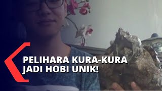 Unik! Hobi Pelihara Kura-kura dari Berbagai Negara
