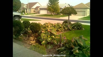 Highland St. Paving Repairs Port Elgin Ont raspberry pi camera motion pi-timolo