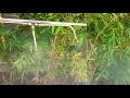 garden misting nozzle system/sai prevention tech/coimbatore