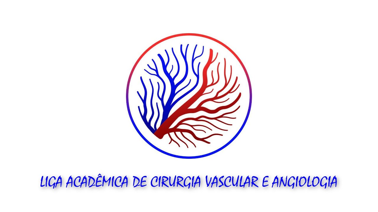 SIA UFV 2023 Relato de Experiência (Liga Acadêmica de Cirurgia