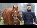 Route des talons 2022  golden horde au haras de montfort  praux