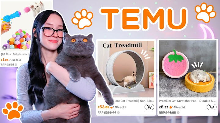 TESTING WEIRD CAT GADGETS FROM TEMU...