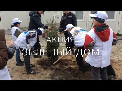 Акция "Зеленый дом" в модульном городке