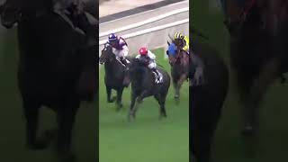9 | 5 | SIX PACK | A Badel #Badel #Horse #Racing #Sport #Results #賽馬結果 #马會 #油管 #赛马结果