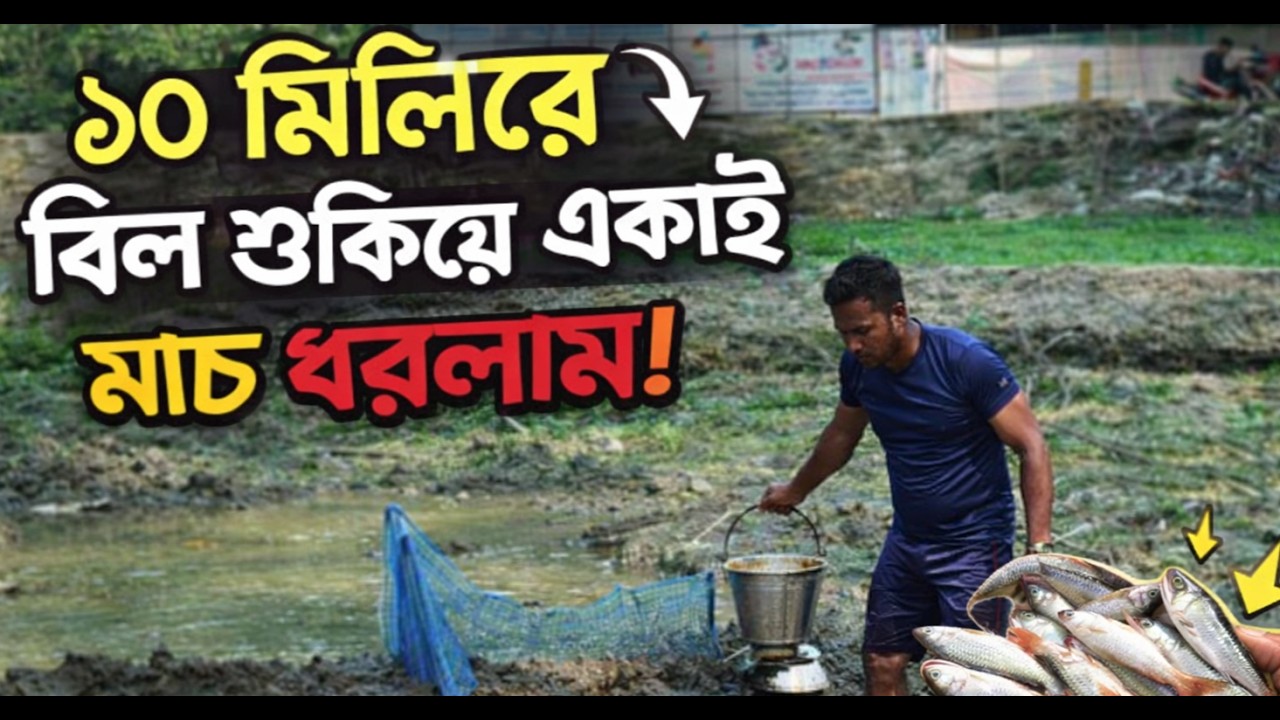 সাদ্দাম ব্লক  ১০ মিনিটে বিল খালি! তারপর যা মাছ পেলাম… 😲 | Village Fishing Challenge