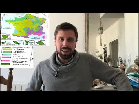 Vidéo: Qu'est-ce que la végétation mondiale?