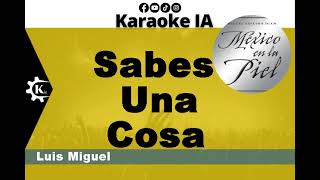 Luis Miguel - Sabes Una Cosa - Karaoke