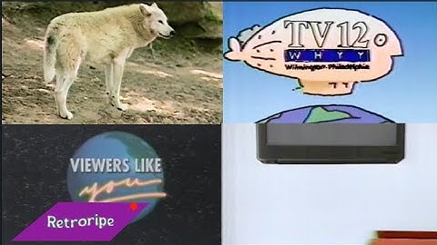 PTV PARK Program Break #4 - Incomplete (WHYY-TV 1994)