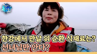 한강에서 만날 위 순환 식재료는? 선녀님만 안다? MBN 240329 방송