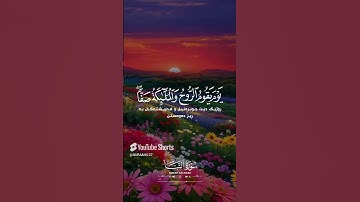 تلاوة هادئة تريح القلب  🌸🍂😇 القارئ  محمود الهمص #quran 🎧🎙️🤎