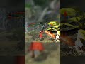 Mission 14 Mayhem Dante Unleashed #devilmaycry4 #gaming #shorts