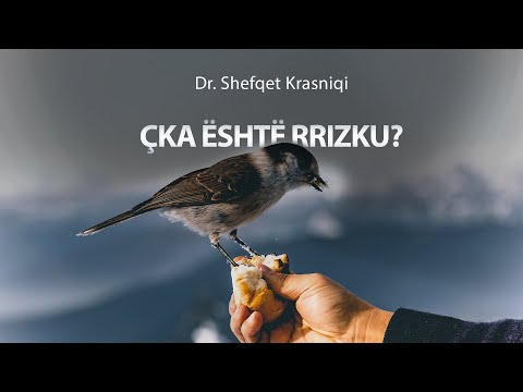 Video: Çfarë është kërkimi pa ndërhyrje?