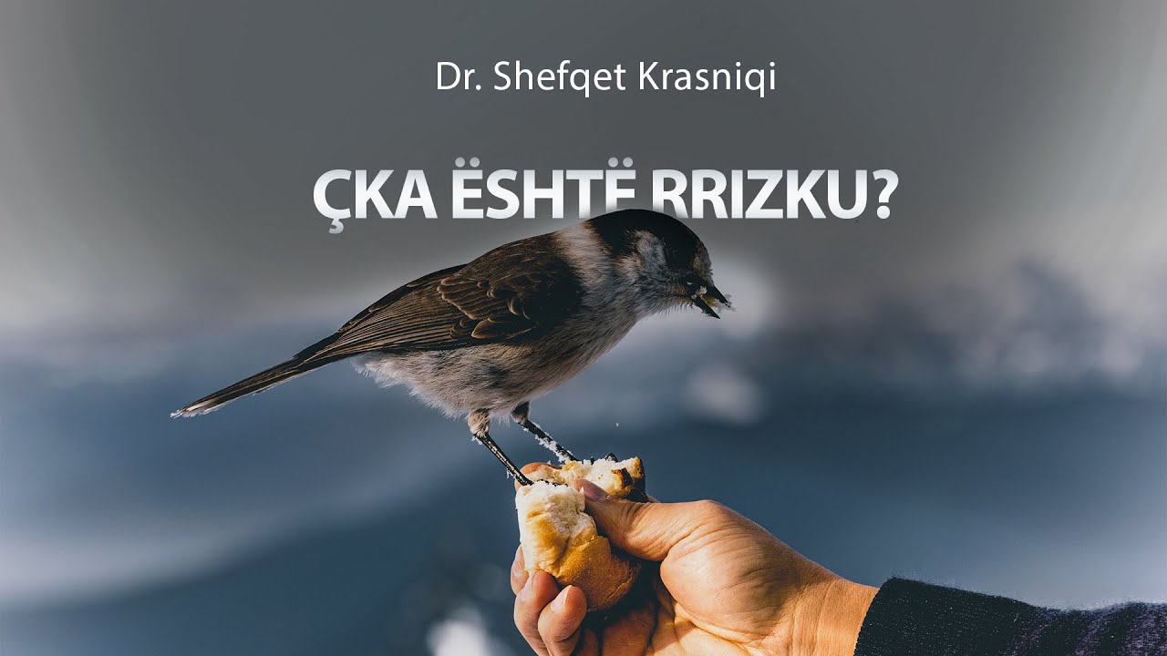 Çka është rrizku - Dr. Shefqet Krasniqi | SHKËPUTJE