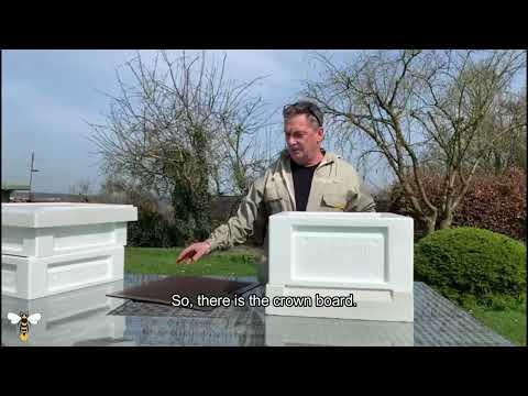 Swienty poly hives