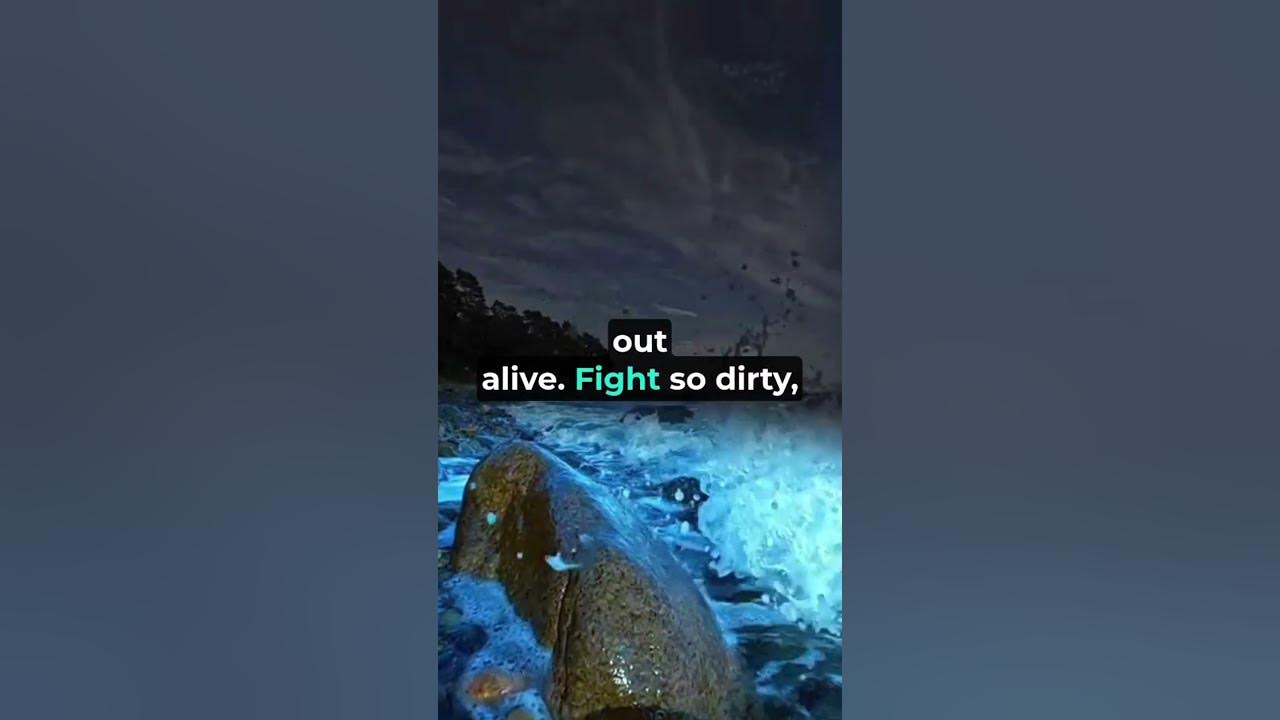 Teeth - Seconds of Summer | lyrics | aesthetic | whatsapp Status | English songs | slowed | speed up