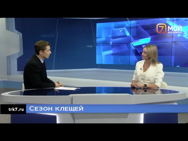 Какие болезни переносят клещи и как облегчить симптомы и последствия инфекций?