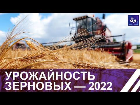 Продовольственная безопасность — основа экономики. Панорама