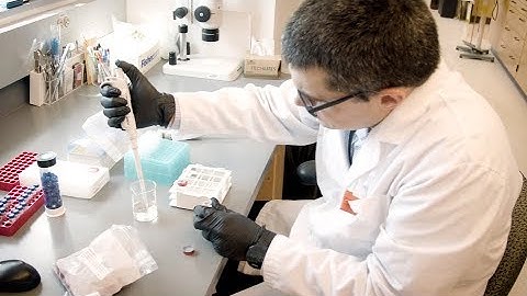 STEM at the FBI Laboratory Division