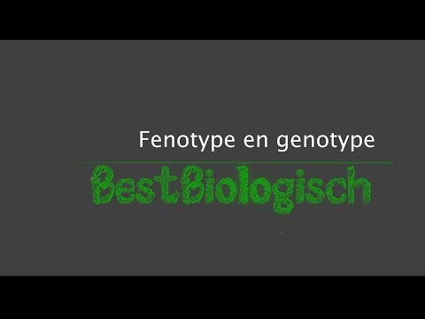Video: Verschil Tussen Fenotype En Genotype-ratio