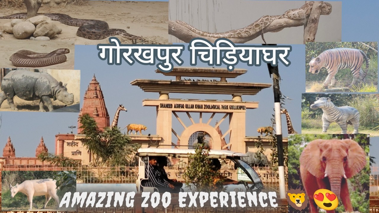 Gorakhpur chidiyaghar/गोरखपुर चिड़ियाघर/गोरखपुर का असली Attraction/Gorakhpur Zoo Update