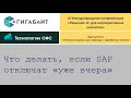 Круглый стол по вопросам миграции с зарубежных систем.1С, Завидово,2023 Пример перехода с SAP на 1С.