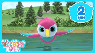 Hummingbirds Flight Test Yoohoo To The Rescue Yoohoo