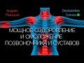 А. Ракицкий. Мощное оздоровление и омоложение позвоночника и суставов. Гипнотический сеанс.