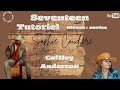 Easy New  Dance  Country 2024 / Seventeen /Sophie Coudière Country Vibes Tutorial  #SCCV