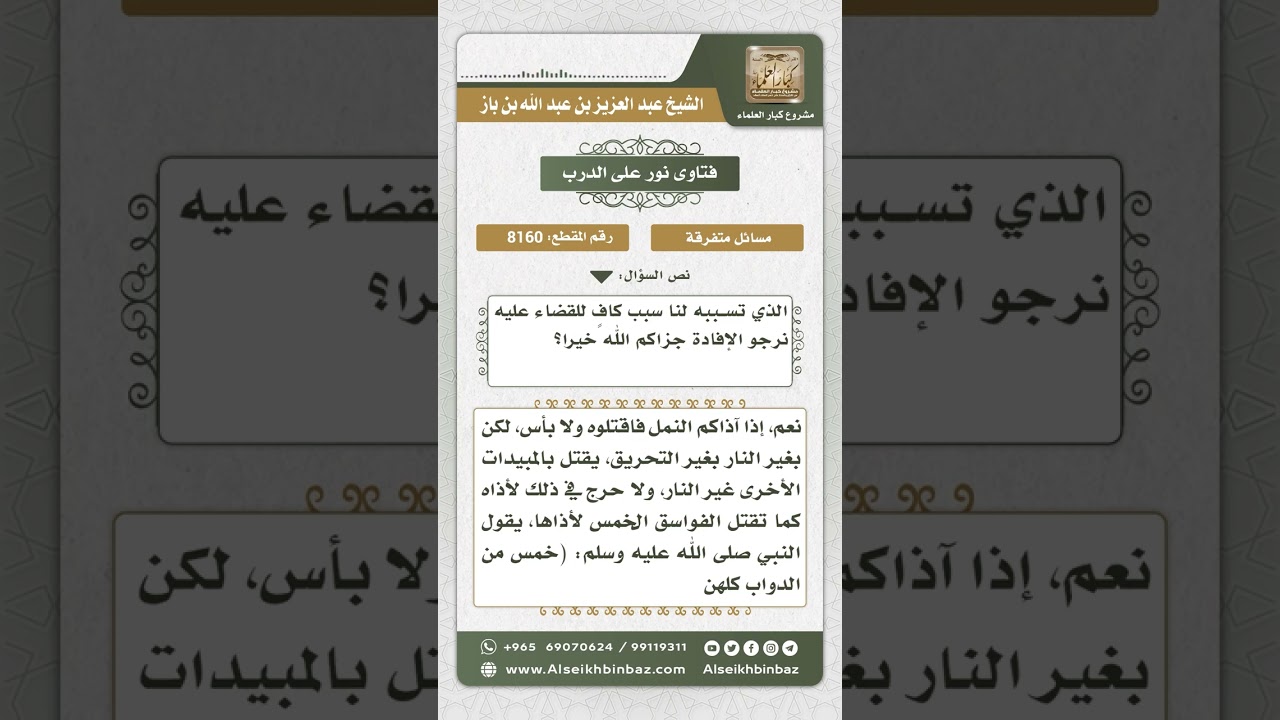 8160 -  حكم قتل النمل المؤذي -  نور على الدرب