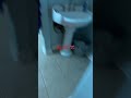            نجومي