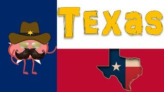 Historia Breve de la República de Texas - Breve Historia de Texas - México y Texas