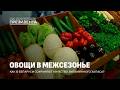 Фрукты и овощи круглый год: как в Беларуси сохраняют урожай в стабфондах. На контроле Президента
