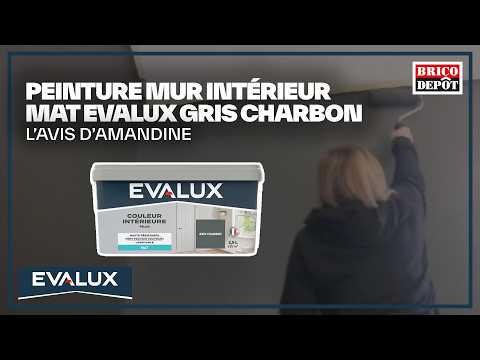 Peinture mur intérieur mat Evalux gris charbon - L'avis d'Amandine - Client Brico Dépôt