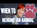 Munchie Talk | Rehoming an Animal & when it's Appropriate to do so!