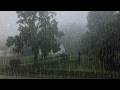 Barrulho de Chuva para Dormir Profundamente + Rápido - Som de Chuva Forte e Trovão #60 ASMR Relax