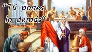 Video thumbnail of "TÚ PONES LO DEMÁS (UN DÍA DE BODAS) | CANTO DE OFRENDAS | DOMINGOS Y BODAS"