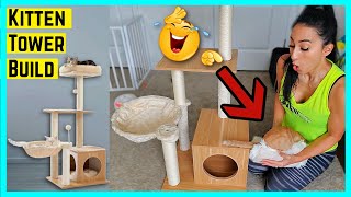 Best Cat Tower for Kittens & Small Cats: Watch as I Assemble with My Crazy Kitten 😸 by Kimagine DIY 391 views 3 months ago 8 minutes, 20 seconds