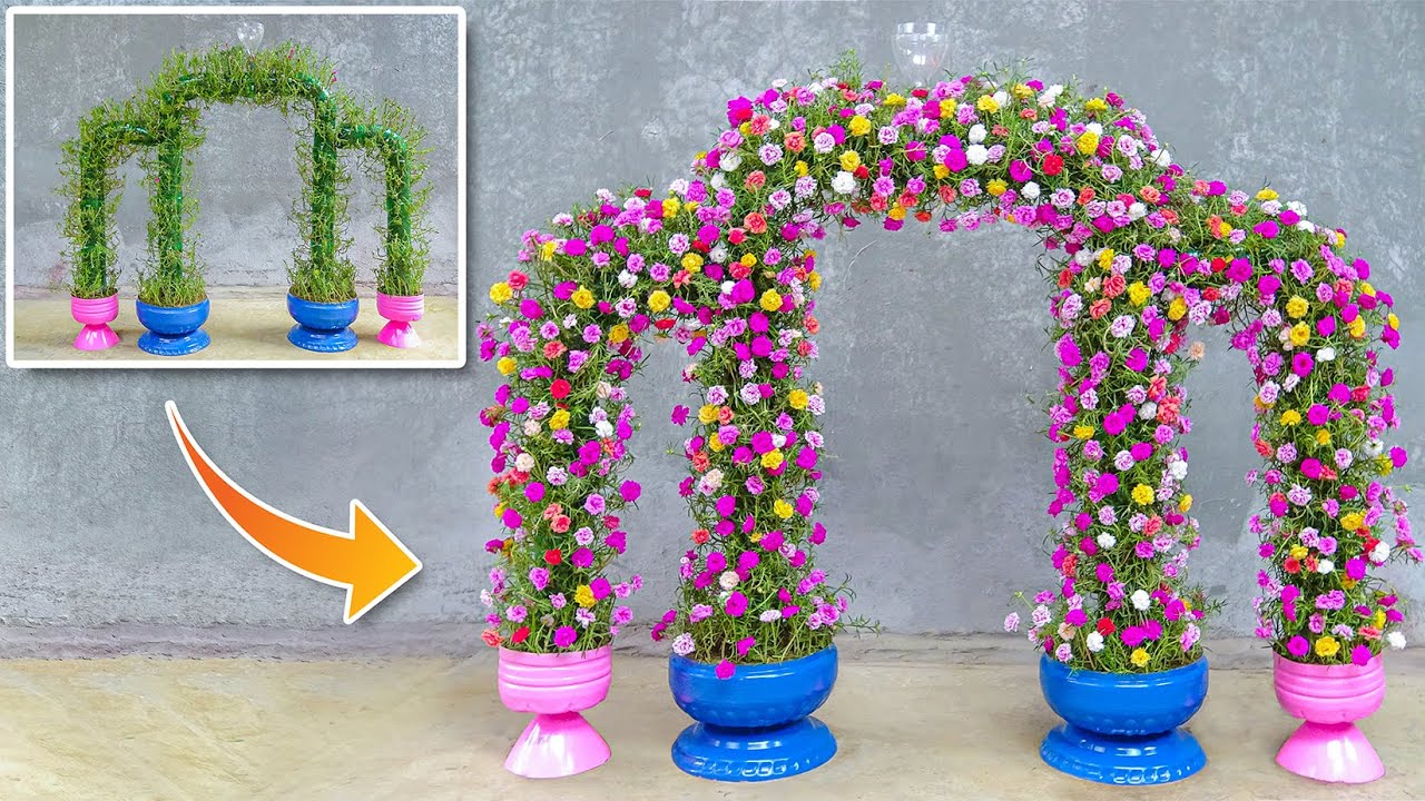 Recycle Plastic Bottles into Beautiful Moss Rose Flower Fence | Garden Creative