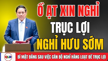 Cán Bộ Công Chức Ồ Ạt Xin Nghỉ – Hé Lộ Mánh TRỤC LỢI Nghỉ Hưu Sớm!