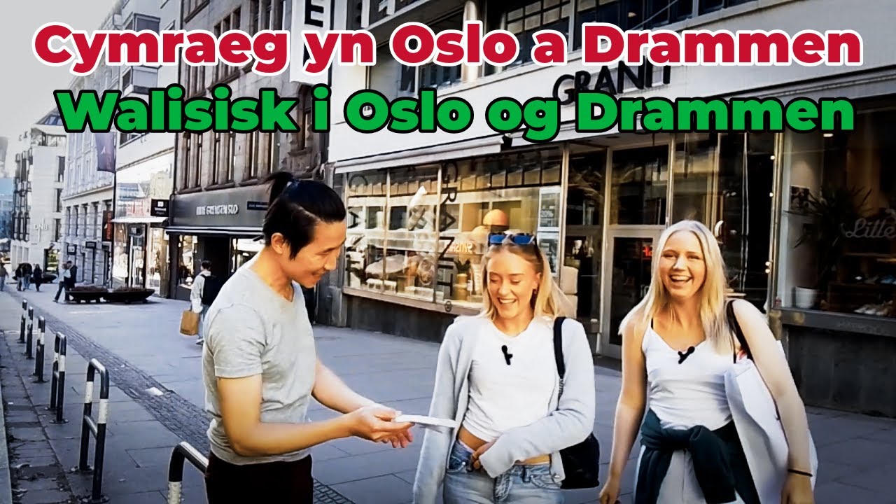 Насколько хорошо люди в Осло и Драммене знают валлийский язык?