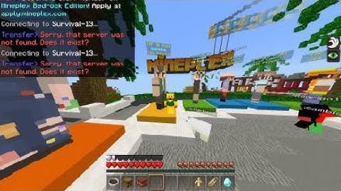 Mineplex Bug Report.