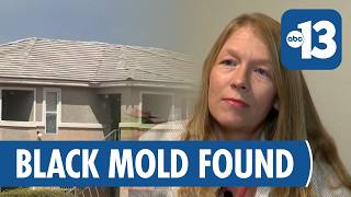 Local Woman s Black Mold Discovery Sparks Tenant Rights Warning in Nevada