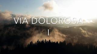 Saša Miočić - Tango Nenormale