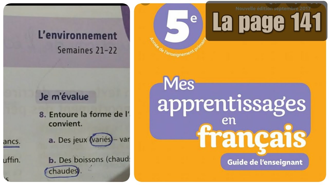Mes Apprentissages En Francais Page 141 Orthographe Youtube